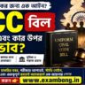 UCC Bill Explained Pros and Cons